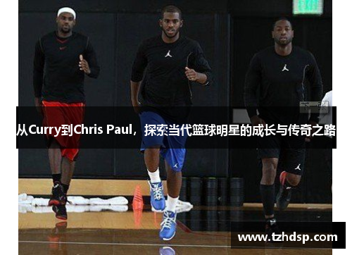 从Curry到Chris Paul，探索当代篮球明星的成长与传奇之路